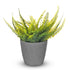 Plastic Plant Pot with Wave Design 18cm Grey - Set of 2